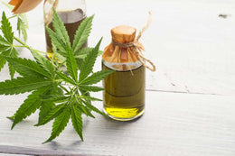 How is CBD Oil Made? The Basics of CBD Extraction