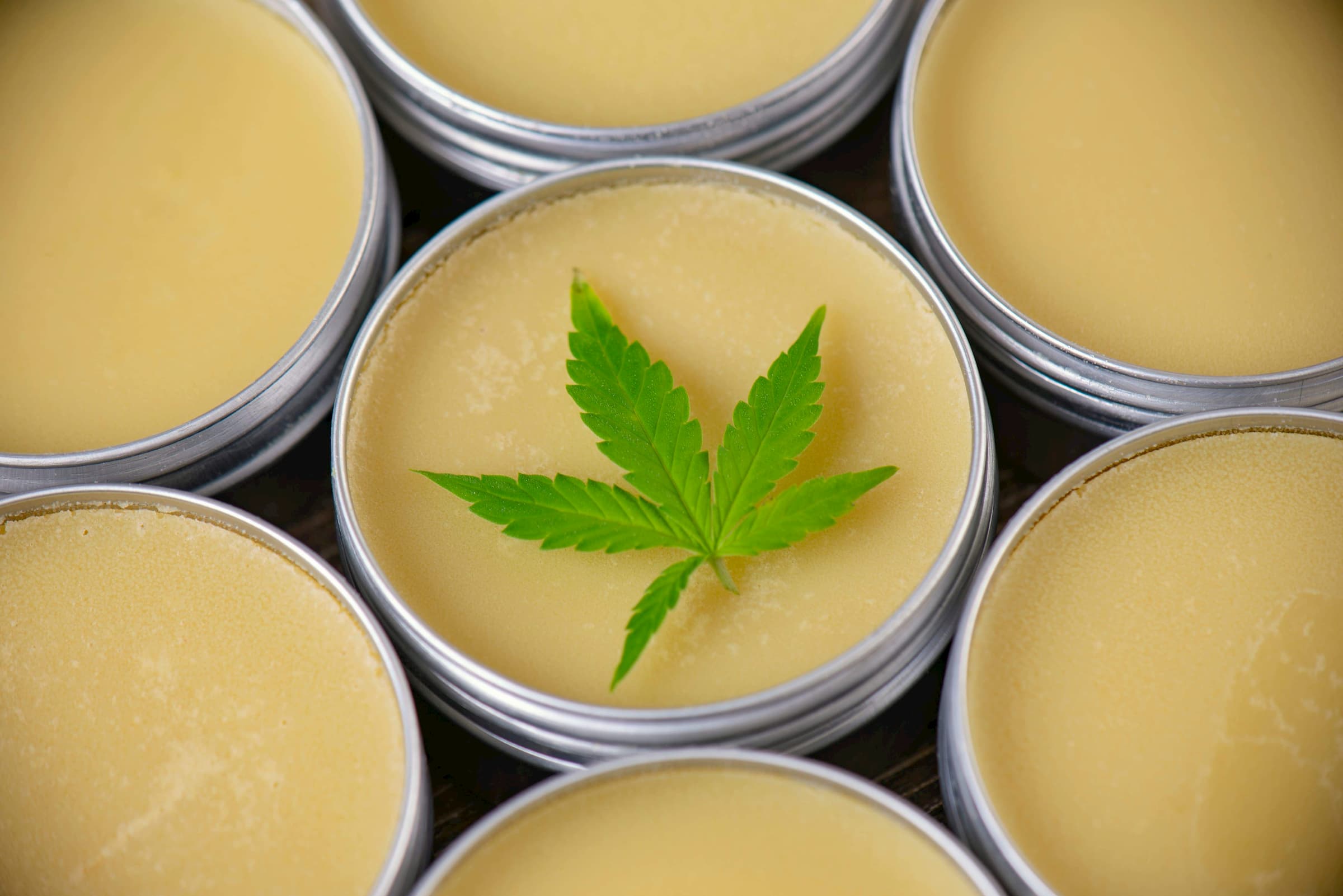 topical cbd cream for humans